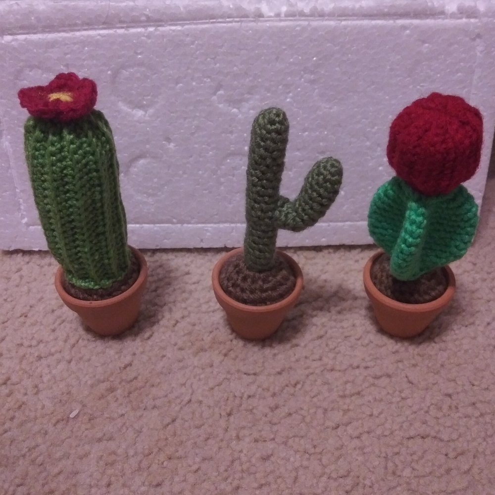 Bundle of 3 Crochet Succulents